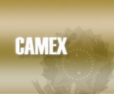 CAMEX realiza consulta pública sobre PI no âmbito do contencioso do algodão